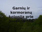 Kuršių nerija skaidrės 11 puslapis