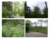 Kuršių nerija skaidrės 13 puslapis