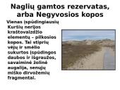 Kuršių nerija skaidrės 14 puslapis