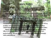 Kuršių nerija skaidrės 8 puslapis