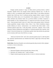 Klaipėdos uosto suskystintų gamtinių dujų terminalo veiklos analizė 3 puslapis