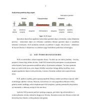 Klaipėdos uosto suskystintų gamtinių dujų terminalo veiklos analizė 5 puslapis