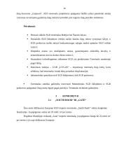 Klaipėdos uosto suskystintų gamtinių dujų terminalo veiklos analizė 10 puslapis