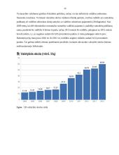 Lietuvos valstybės skolos valdymo problemos 2010-2013 metais 12 puslapis