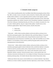 Lietuvos valstybės skolos valdymo problemos 2010-2013 metais 4 puslapis