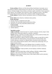 Požiūris į rūkymą - sociologijos kursinis darbas 3 puslapis