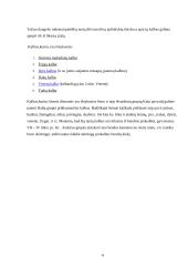 Indoeuropiečių protėvynės problema ir jų išplitimas 6 puslapis