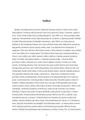 Indoeuropiečių protėvynės problema ir jų išplitimas 9 puslapis