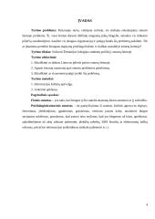 Sociologijos dalyko kursinis darbas, ,Smurtas šeimoje" 3 puslapis