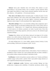 Galvijininkystės ūkio aprašymas 12 puslapis