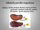 Tiesa apie alkoholį 6 puslapis