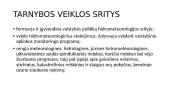 Hidrometeorologijos tarnyba skaidrės 19 puslapis