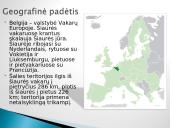 Belgija – valstybė Vakarų Europoje 2 puslapis