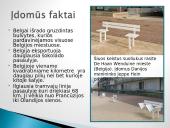 Belgija – valstybė Vakarų Europoje 12 puslapis