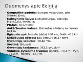Belgija – valstybė Vakarų Europoje 4 puslapis