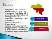 Belgija – valstybė Vakarų Europoje 6 puslapis