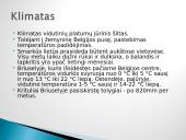 Belgija – valstybė Vakarų Europoje 7 puslapis