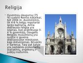 Belgija – valstybė Vakarų Europoje 8 puslapis