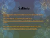 Prezentacija apie Kristijoną Donelaitį 12 puslapis