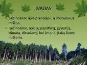 Plačialapių ir mišrieji miškai 2 puslapis