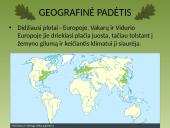 Plačialapių ir mišrieji miškai 3 puslapis