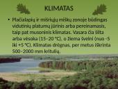 Plačialapių ir mišrieji miškai 4 puslapis