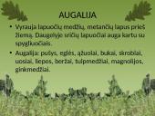 Plačialapių ir mišrieji miškai 6 puslapis