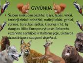 Plačialapių ir mišrieji miškai 7 puslapis