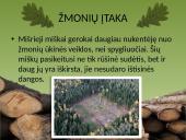 Plačialapių ir mišrieji miškai 8 puslapis