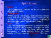 Vaizdo plokštė 2 puslapis