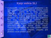 Vaizdo plokštė 19 puslapis