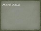 Gotika Lietuvoje skaidrės 13 puslapis