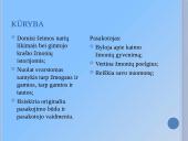 Juozas Tumas – Vaižgantas asmenybė, gyvenimas ir kūryba 4 puslapis