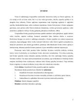 Fizinių ypatybių ugdymo pagrindai 2 puslapis