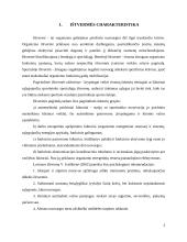 Fizinių ypatybių ugdymo pagrindai 3 puslapis