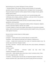 Fizinių ypatybių ugdymo pagrindai 5 puslapis