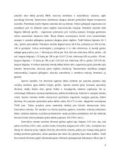 Fizinių ypatybių ugdymo pagrindai 8 puslapis