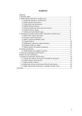 Hidraulinių ir pneumatinių sistemų elementų ir pavarų kursinis 2 puslapis