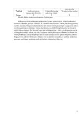 Tabako gaminių rinkos Rytų Europos šalyse strateginė analizė 12 puslapis