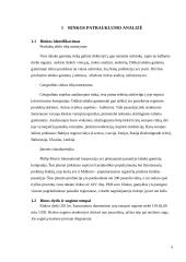 Tabako gaminių rinkos Rytų Europos šalyse strateginė analizė 4 puslapis
