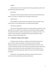 Tabako gaminių rinkos Rytų Europos šalyse strateginė analizė 9 puslapis