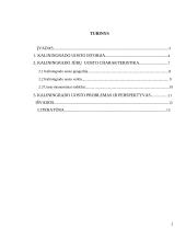 Kaliningrado jūrų uostas 2 puslapis