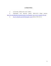 Kaliningrado jūrų uostas 13 puslapis