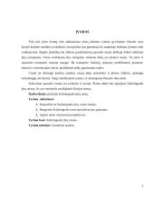 Kaliningrado jūrų uostas 3 puslapis