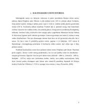 Kaliningrado jūrų uostas 4 puslapis