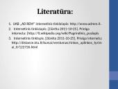 Organizacijos verslo aplinkos analizė UAB „AD REM“  11 puslapis