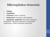 Organizacijos verslo aplinkos analizė UAB „AD REM“  6 puslapis