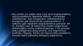 Angliavandeniai pristatymas 13 puslapis
