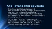Angliavandeniai pristatymas 14 puslapis