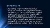 Angliavandeniai pristatymas 4 puslapis